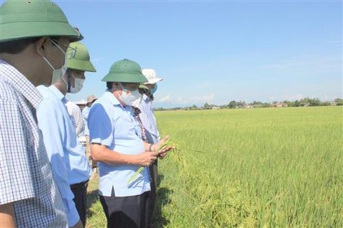 Tạo điều kiện thuận lợi nhất để tiêu thụ, lưu thông hàng hóa gắn với đảm bảo phòng, chống COVID-19