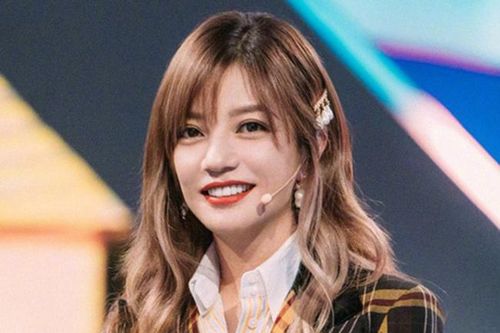 Triệu Vy có liên quan đến 14 công ty