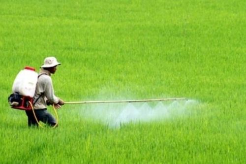 Nông nghiệp minh bạch phải sáng tỏ từ sử dụng phân bón
