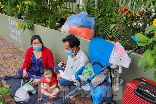 Những người may mắn được hồi hương giữa đại dịch COVID-19 ở TPHCM