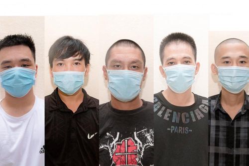 Đại ca giang hồ thuê trang trại huấn luyện đội chó béc giê để buôn ma túy