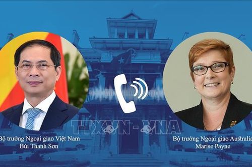 Bộ trưởng Bộ Ngoại giao Bùi Thanh Sơn điện đàm với Bộ trưởng Ngoại giao Australia
