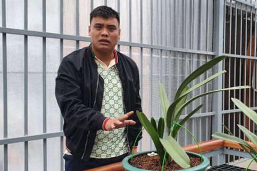 Đại gia lan đột biến nổi tiếng với thương vụ giao dịch hàng trăm tỉ đồng vừa bị bắt vì buôn than lậu