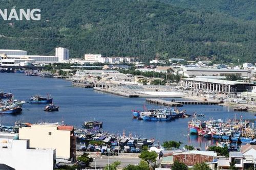 Sẵn sàng phương án đưa cảng cá Thọ Quang hoạt động trở lại bảo đảm phòng, chống Covid-19