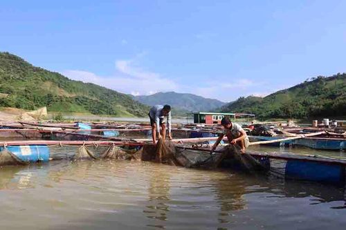 Kinh tế TRUYỀN HÌNH INTERNET Lai Châu qua ảnh