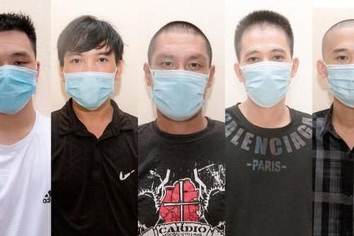 Phá 'boong ke' ma túy có nhiều dao, súng và 8 con chó béc giê canh giữ