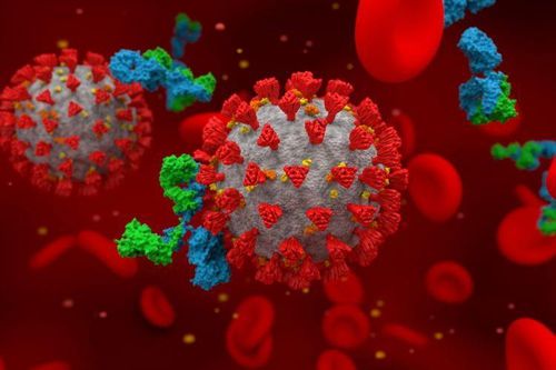 Virus SARS-CoV-2 có thể thay đổi hình dạng để bám trụ trong cơ thể người
