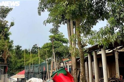 Tìm về nơi nhiều công an bị đánh khi bảo vệ thiết bị điện gió ở Quảng Trị