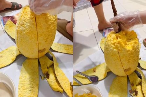 Clip: Pha bổ mít dễ như lột vỏ chuối