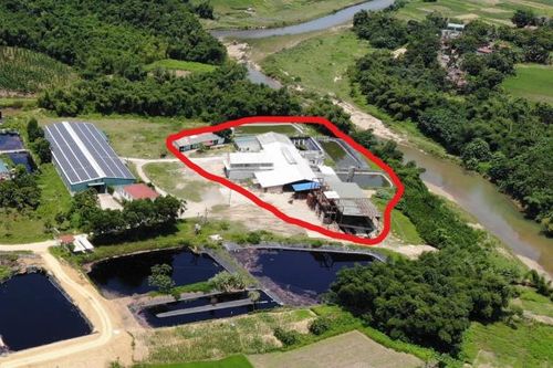 Thanh Hóa: Phát hiện hàng loạt sai phạm kéo dài tại HTX chế biến lâm sản Lang Chánh