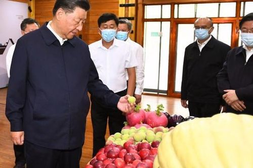 Một quan chức Trung Quốc: 'Thịnh vượng chung' không có nghĩa là 'giết chết' giới giàu