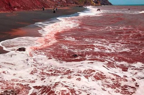 Khám phá bãi biển đỏ như máu kỳ bí ở Iran