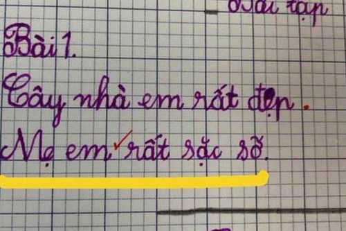 Học sinh đặt câu về mẹ, chỉ thêm vào 2 từ mà ai đọc đều lo cậu bé