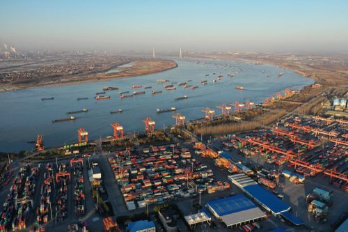 Container phân bón bị mắc kẹt và cuộc khủng hoảng vận tải toàn cầu