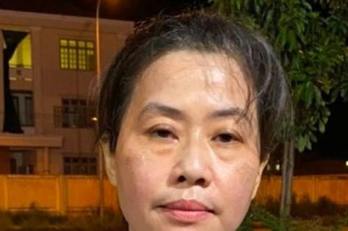 Khởi tố nữ giám đốc môi giới đầu tư khoáng sản lừa đảo hơn 11,2 triệu USD