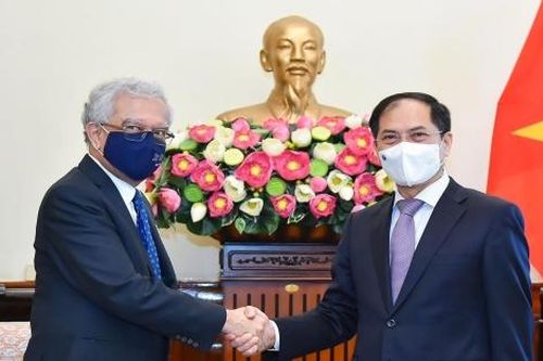 Việt Nam mong muốn Liên hợp quốc tiếp tục cung cấp vaccine Covid-19 thông qua cơ chế COVAX