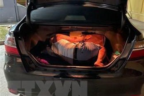 Tuyên Quang: Phát hiện đối tượng trốn trong cốp xe, né chốt kiểm dịch
