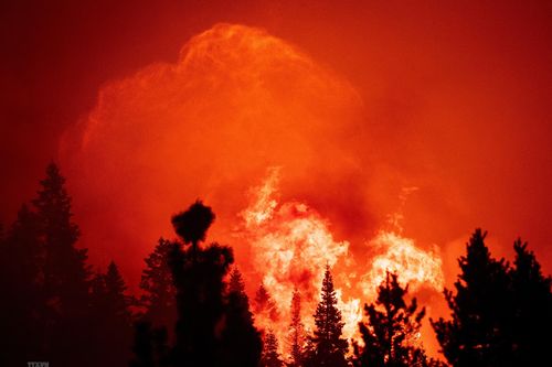 Mỹ: Các đám cháy rừng tại bang California đang diễn biến phức tạp