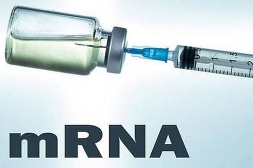 Ấn Độ hy vọng sớm trở lại 'đường đua' xuất khẩu vaccine ngừa COVID-19