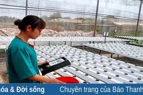 Những dấu ấn đầu tiên của nền nông nghiệp số