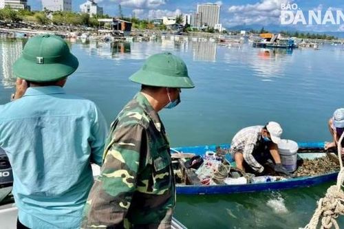 Phát hiện một số người lợi dụng đi bơm nước tàu cá để khai thác chíp chíp, vẹm xanh