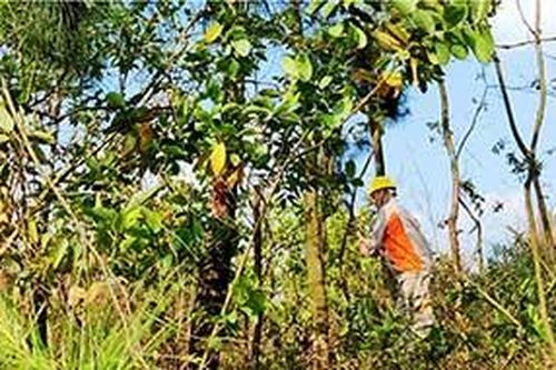 Điện lực Thành phố: Đảm bảo an toàn hành lang lưới điệnTin khácCuộc thi 'Đại sứ Văn hóa đọc' năm 2021: Lan tỏa phong trào đọc sách đến cộng đồngCách mạng Tháng Tám thành công - đánh dấu thắng lợi đầu tiên cho con đường Hồ Chí Minh lựa chọn