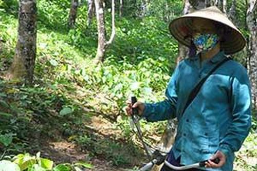 Văn Quan: Cần khắc phục hạn chế trong hỗ trợ phát triển sản xuấtTin khácCuộc thi 'Đại sứ Văn hóa đọc' năm 2021: Lan tỏa phong trào đọc sách đến cộng đồngCách mạng Tháng Tám thành công - đánh dấu thắng lợi đầu tiên cho con đường Hồ Chí Minh lựa chọn