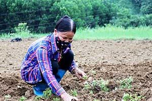 Bình Gia: Nâng cao giá trị cây thạch đenTin khácCuộc thi 'Đại sứ Văn hóa đọc' năm 2021: Lan tỏa phong trào đọc sách đến cộng đồngCách mạng Tháng Tám thành công - đánh dấu thắng lợi đầu tiên cho con đường Hồ Chí Minh lựa chọn