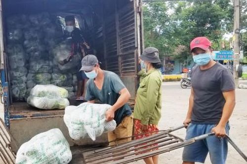 Chính trị - Xã hội An sinh xã hội Chi gói hỗ trợ cho lao động tự do