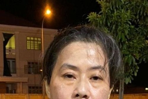 Bắt tạm giam nữ Giám đốc lừa đảo hơn 234 tỷ đồng