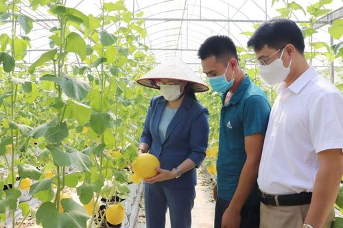 Kiểm soát chất lượng vật tư nông nghiệp: Tuyên truyền nâng cao ý thức người dân