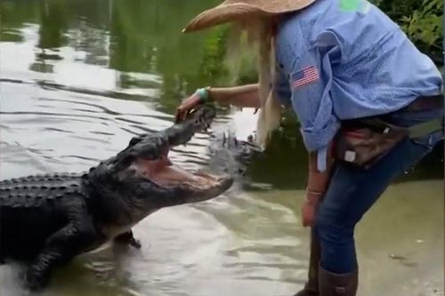 Người phụ nữ Mỹ vuốt ve cá sấu khổng lồ