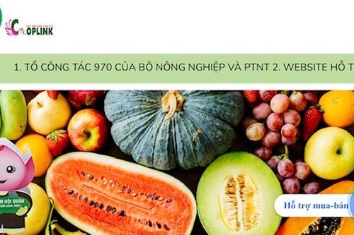 Mở ra không gian mới cho sản xuất và tiêu thụ nông sản