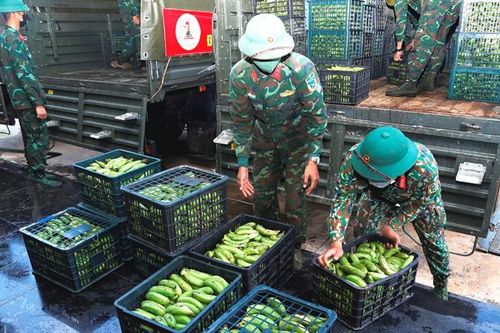 Chuyển 60 tấn hàng ủng hộ người dân TP Hồ Chí Minh chống dịch Covid-19