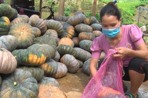 Sơn La hướng về miền nam ruột thịt