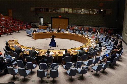 Tình hình Afghanistan: HĐBA LHQ thông qua nghị quyết về hoạt động sơ tán