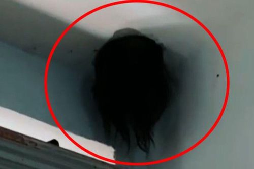 Thấy 'vật màu đen' trên trần nhà, cặp vợ chồng hoảng hốt báo ngay cho cảnh sát