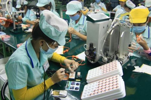 Xuất khẩu sang Ai Cập: Doanh nghiệp cần đăng ký qua Hệ thống thông quan điện tử một cửa