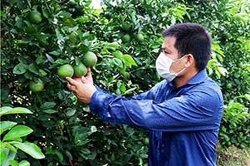 Phát triển mô hình sản xuất ở Hữu Lũng: Góp phần nâng cao đời sống người dânTin khácCuộc thi 'Đại sứ Văn hóa đọc' năm 2021: Lan tỏa phong trào đọc sách đến cộng đồngCách mạng Tháng Tám thành công - đánh dấu thắng lợi đầu tiên cho con đường Hồ Chí Minh lựa