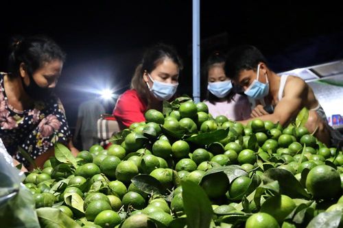 Chợ đêm 'thời cô-vít'