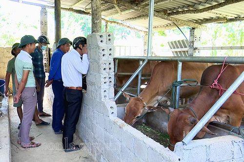 Nhiều mô hình kinh tế hiệu quả ở Liên Hòa