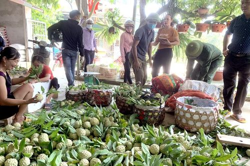 Thiết lập 'vùng xanh' cho nông sản
