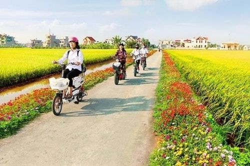 Đã phân bổ 30.000 tỷ đồng ngân sách cho xây dựng nông thôn mới giai đoạn 2021 - 2025