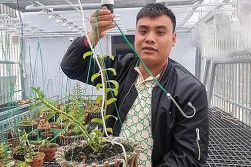 Bất ngờ với chân dung thật của 'ông trùm' lan đột biến ngàn tỷ