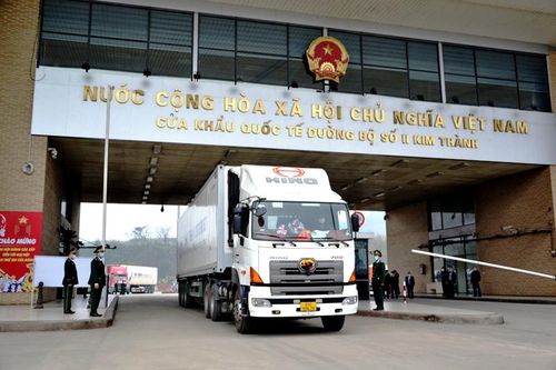 Việt Nam xuất khẩu chuối quả tươi trở lại thị trường Trung Quốc