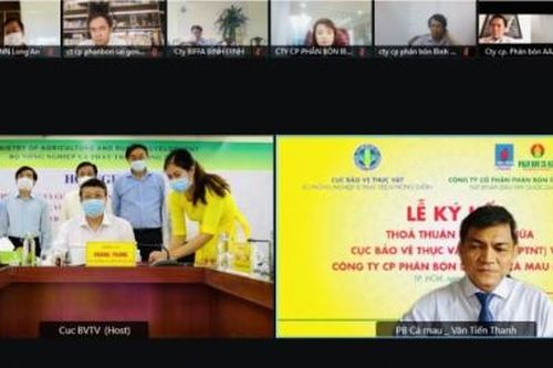 PVCFC hướng tới chiến lược sản phẩm phù hợp phát triển nông nghiệp bền vững