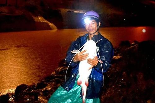 Ly kỳ săn 'thủy quái' trên dòng Sê San