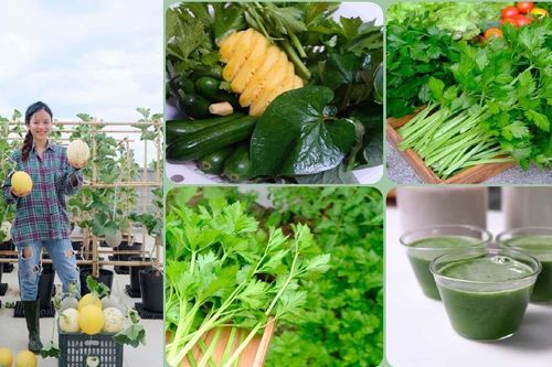Gia đình Đà Nẵng sống khỏe với vườn sân thượng 150m2 ngày giãn cách