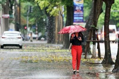 Miền Bắc mưa rào và dông vài nơi, đêm dịu mát