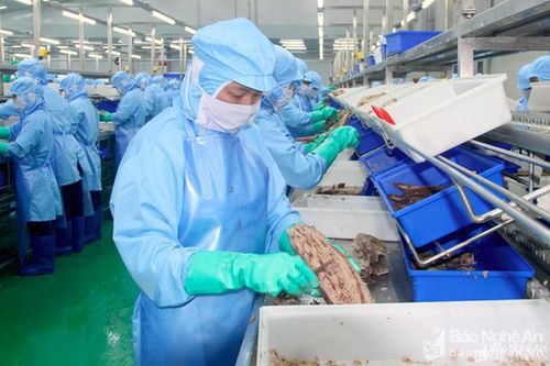 Chính sách mới nổi bật có hiệu lực từ tháng 9/2021